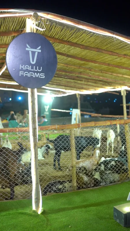 Kallu Farms launch event atmosphere, event management by Endorse Media