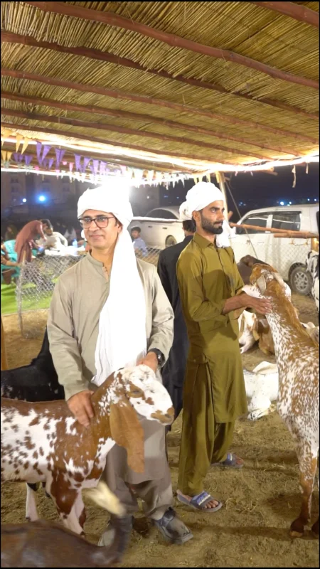 Guests with livestock at the Kallu Farms launch event